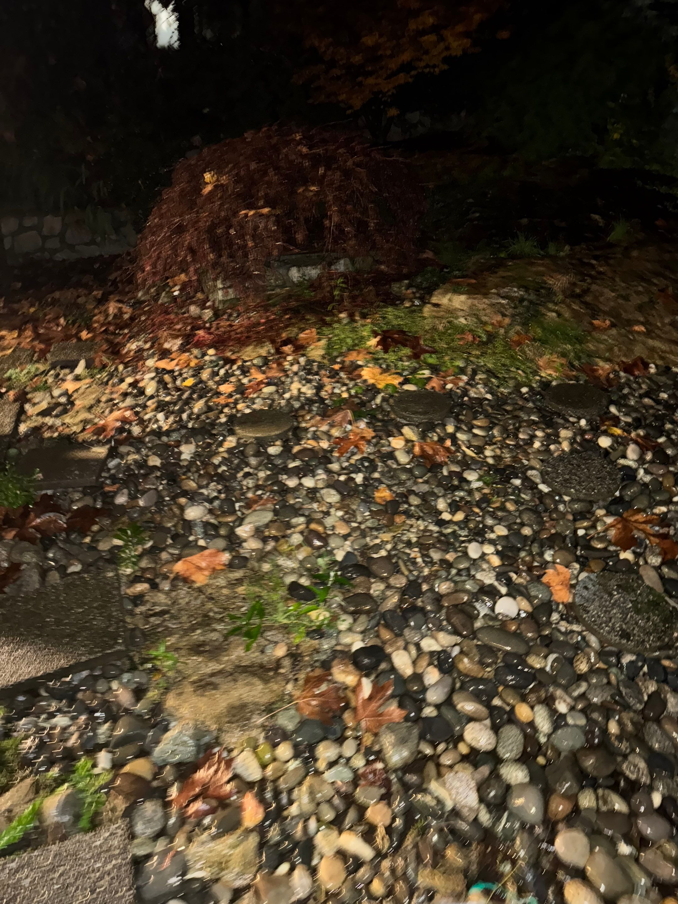 Pavement Improvement by YVR Construction Group