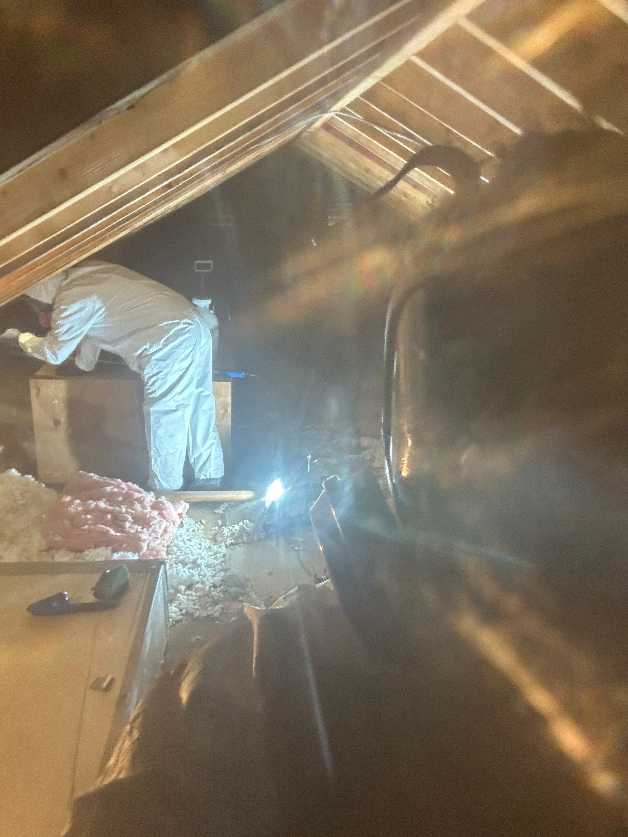 Attic Mold Remediation by Home Guarantee, LLC