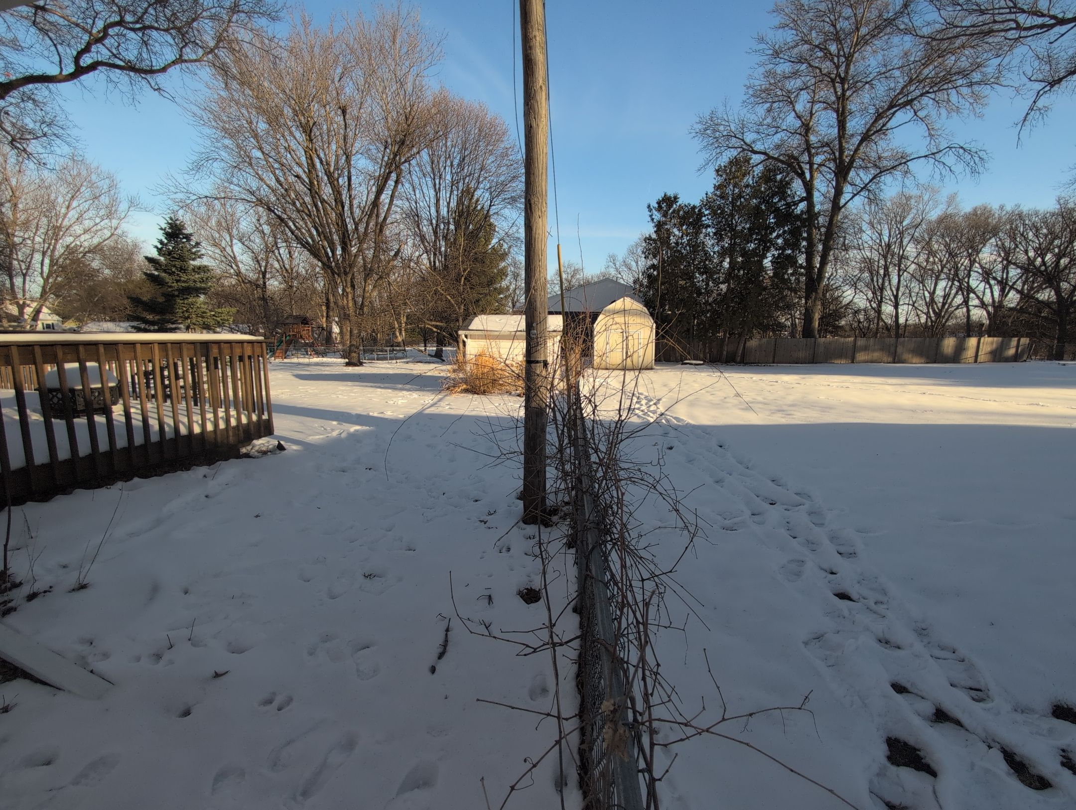 Black Vinyl-Coated Chain Link Fence Installation in Cedar Falls by Perfect Picket Fence and Stain