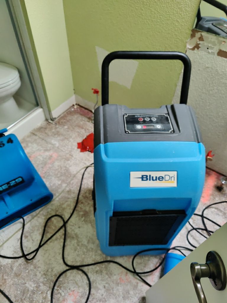 Water Damage  by Accountable Home Services