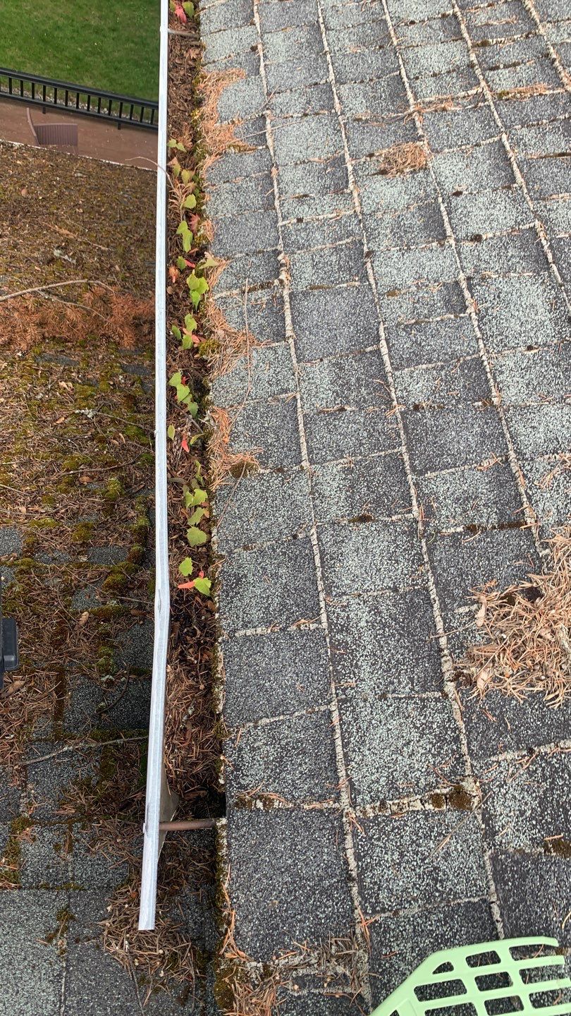 Softwashed in many Years back, and organic regrowth significant by DawnSky LLC