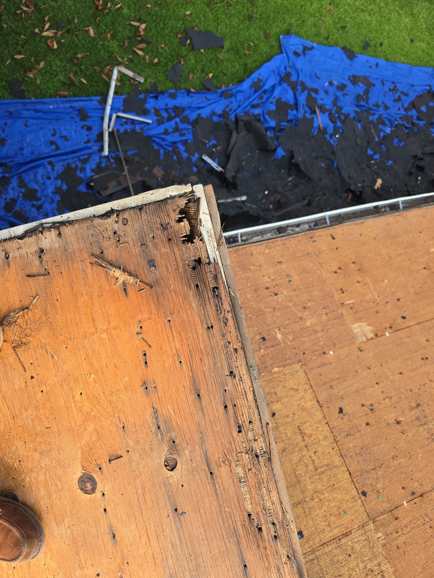 Roof Repair Sugarland by Roof Repair Services LLC