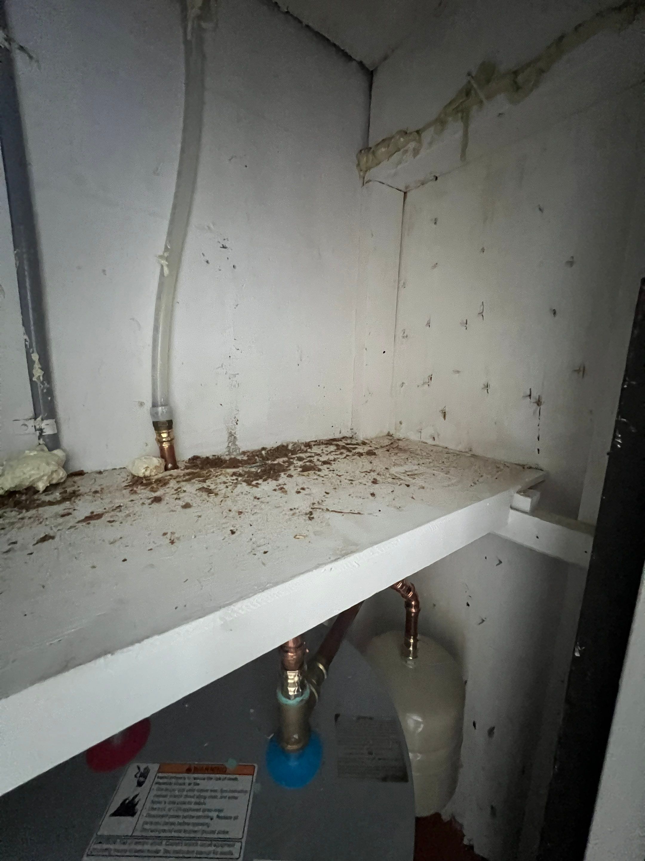 Windstorm Damage & Multi-Room Water Mitigation in St. Petersburg by Right On Time Restoration