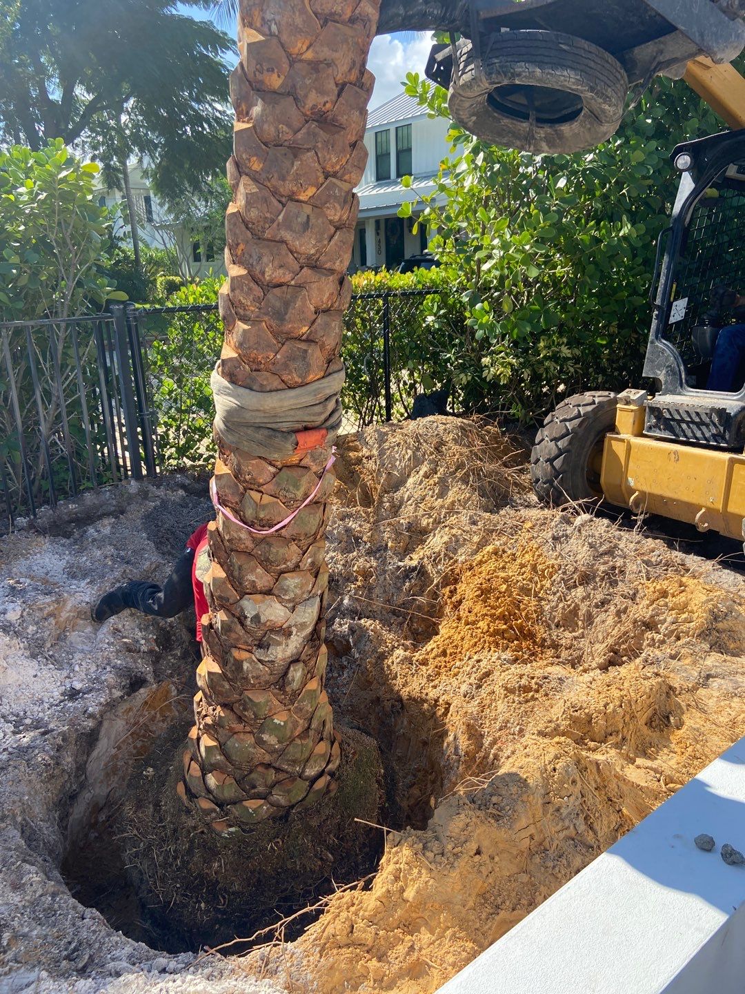 Hazard  by The Landscaping People