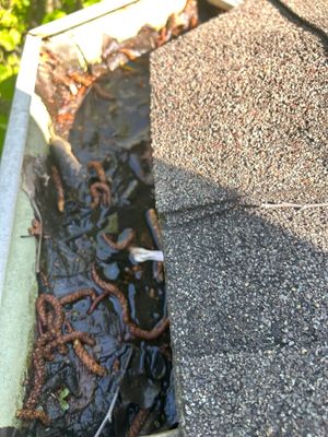 Turtle Shell gutter protection installation in Naperville, IL 60565, photograph 10