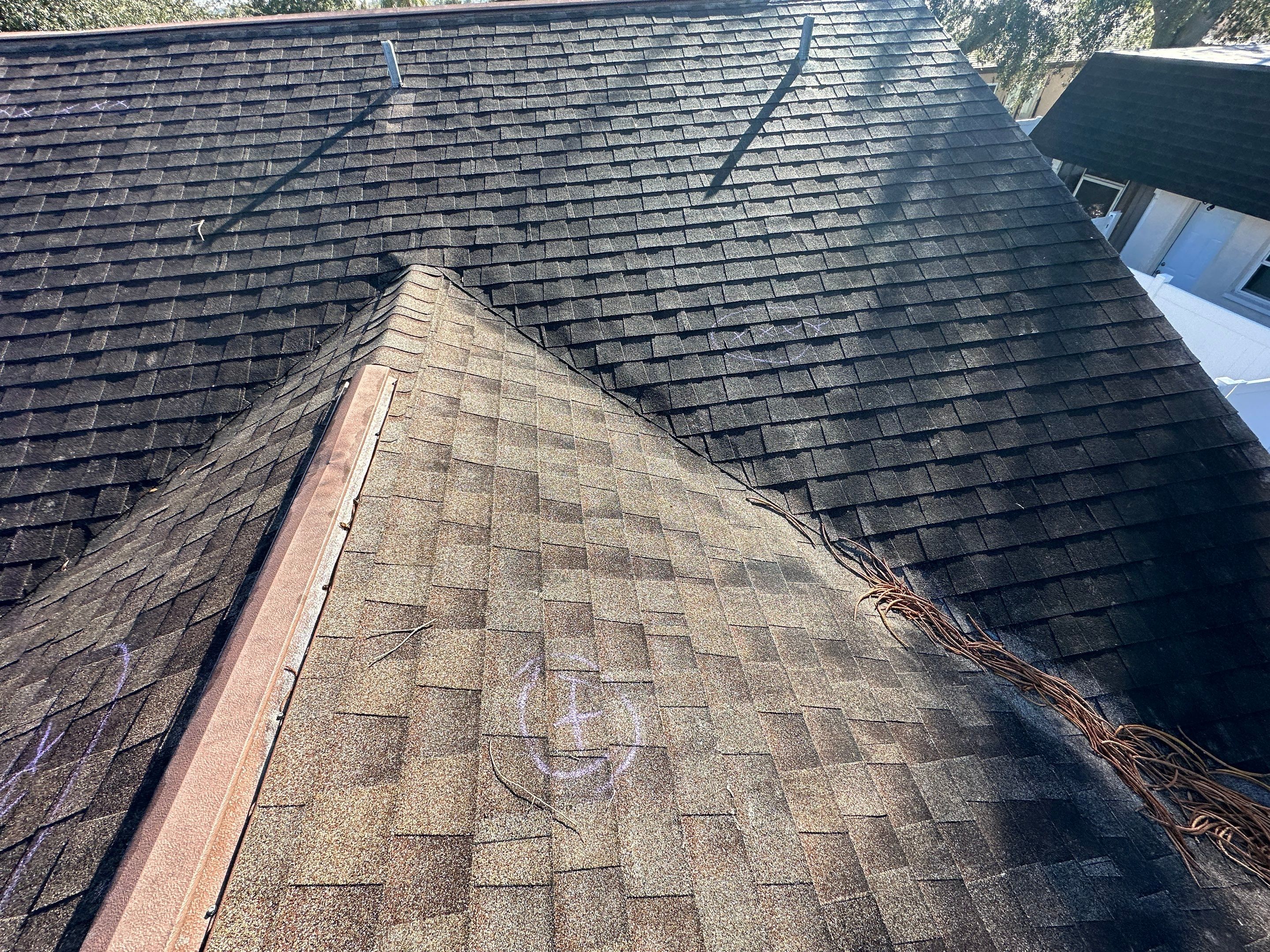 Water Damage Claim in Holiday by FLAPA & KeyStone