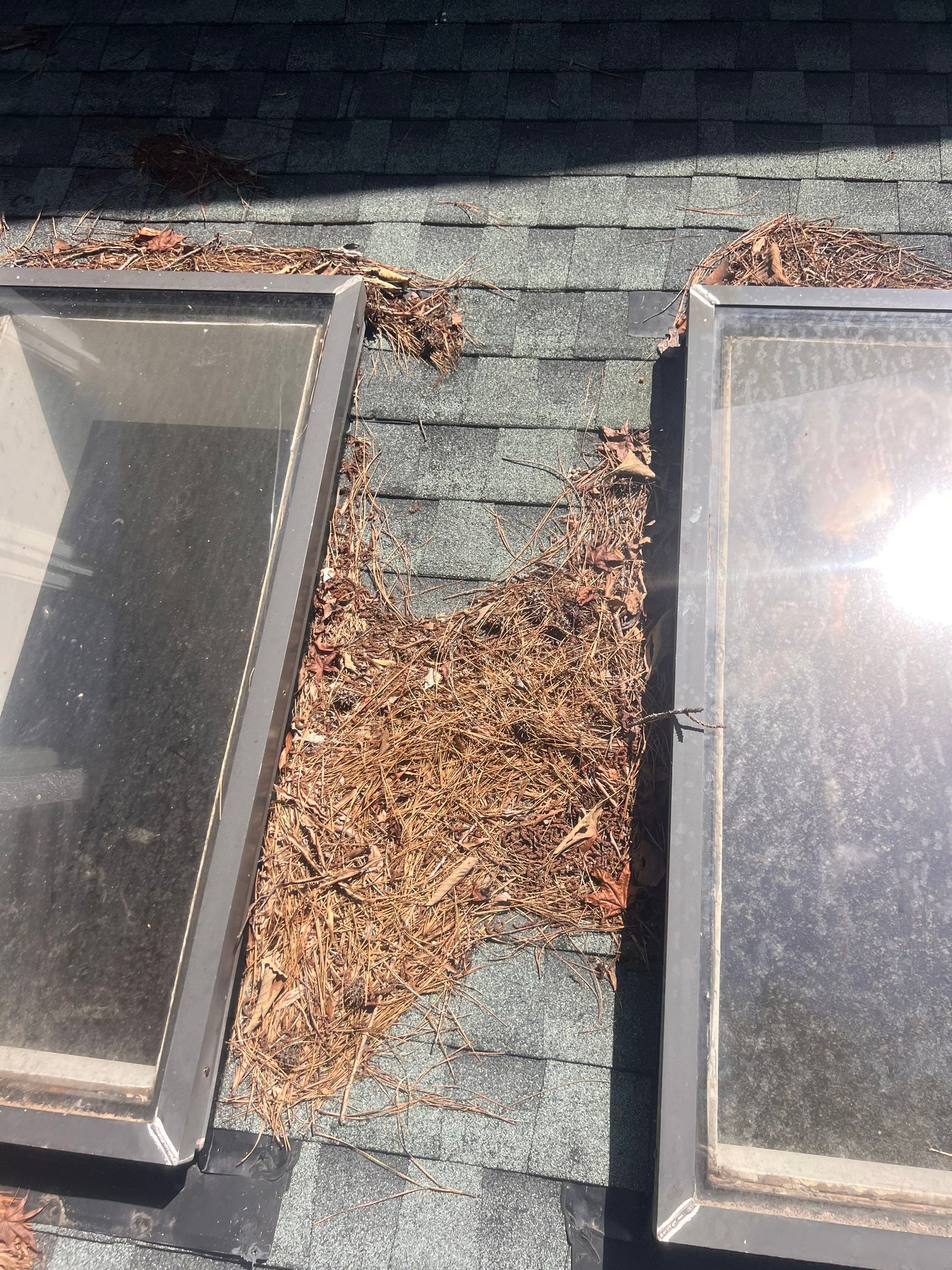 Project in Midlothian by Roof Maxx of Midlothian