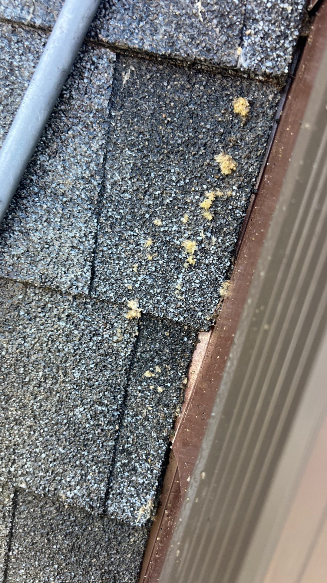 Project by Roof Maxx of Midlothian by Roof Maxx of Midlothian