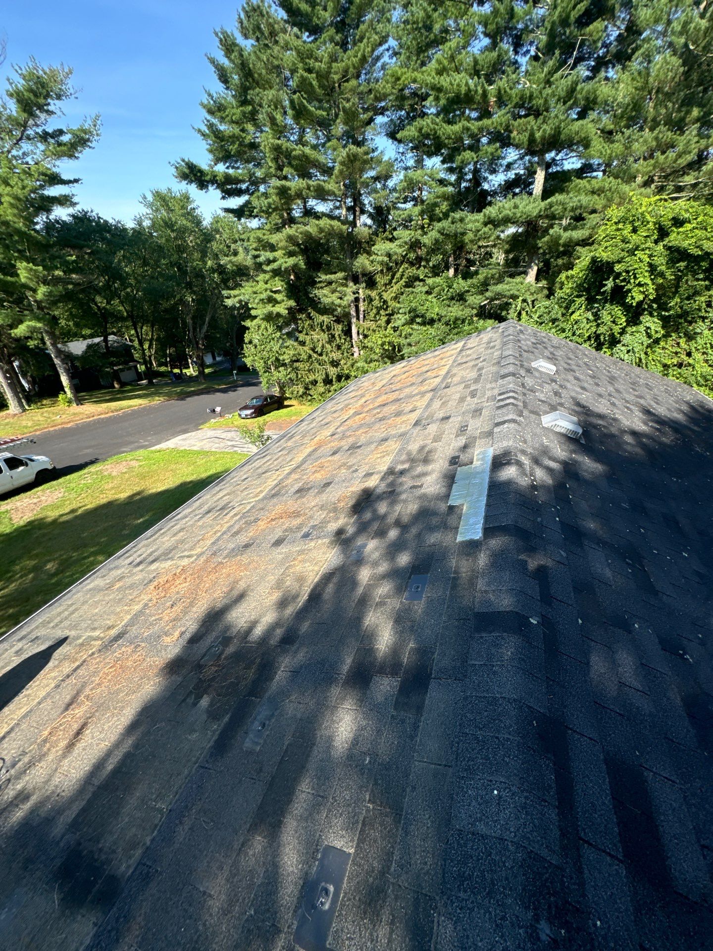 Onyx Black Shingles by Reimagine Roofing