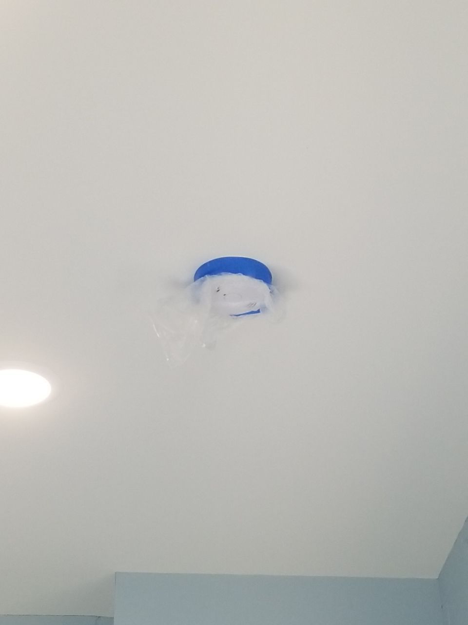 Kennel Floor Coating and Wall Painting using Penntek by Spectrum Painting, LLC