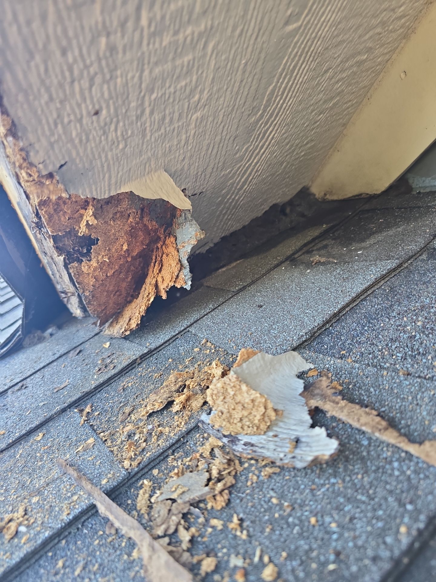 Dog Door Replacement by First Out Roofing 