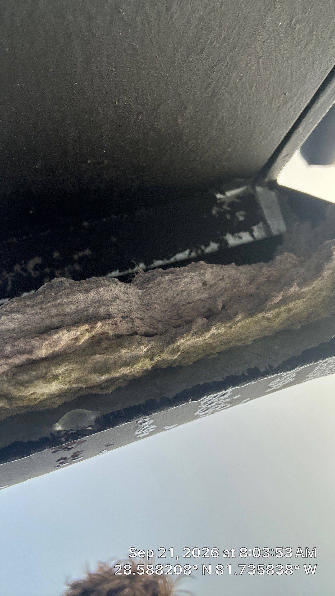 Dryer Connection & Roof-Vent Service in Minneola by Hygienic Air, Inc