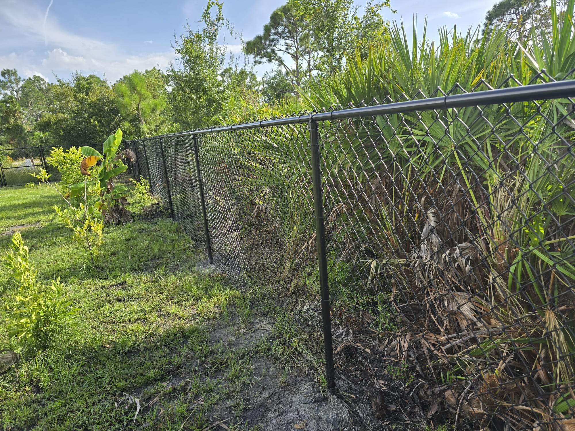 Chain Link in Port Charlotte by True Fence LLC