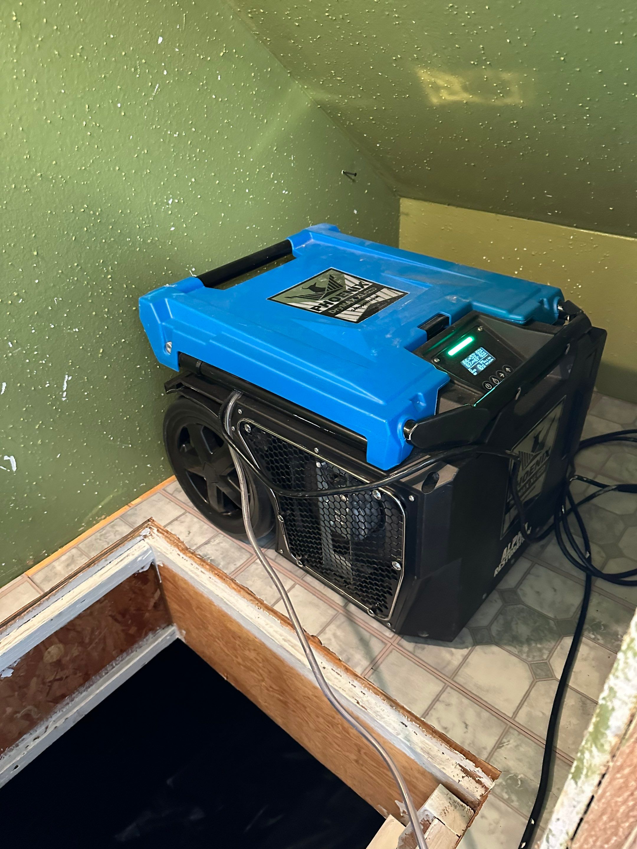 Mold Removal in Brighton, CO by Alpha Restoration 