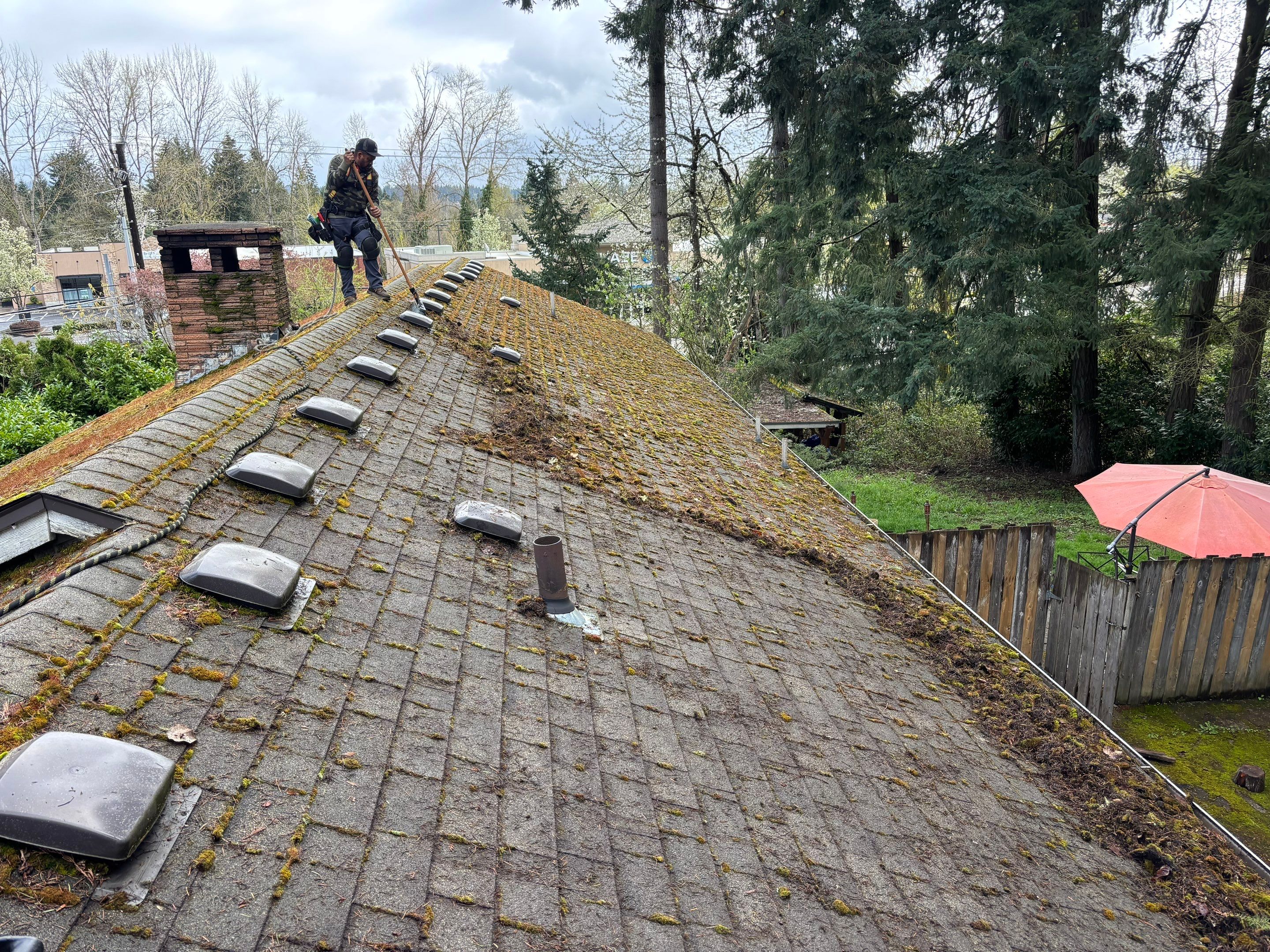 Roof Maintenance in West Linn by Prodigy Roof Solutions