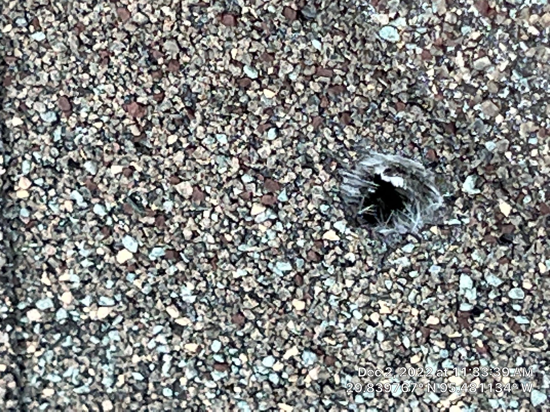 Hail-Damaged Roof Restored — Houston, TX by PL Roofing & SB Roofing, LLC.