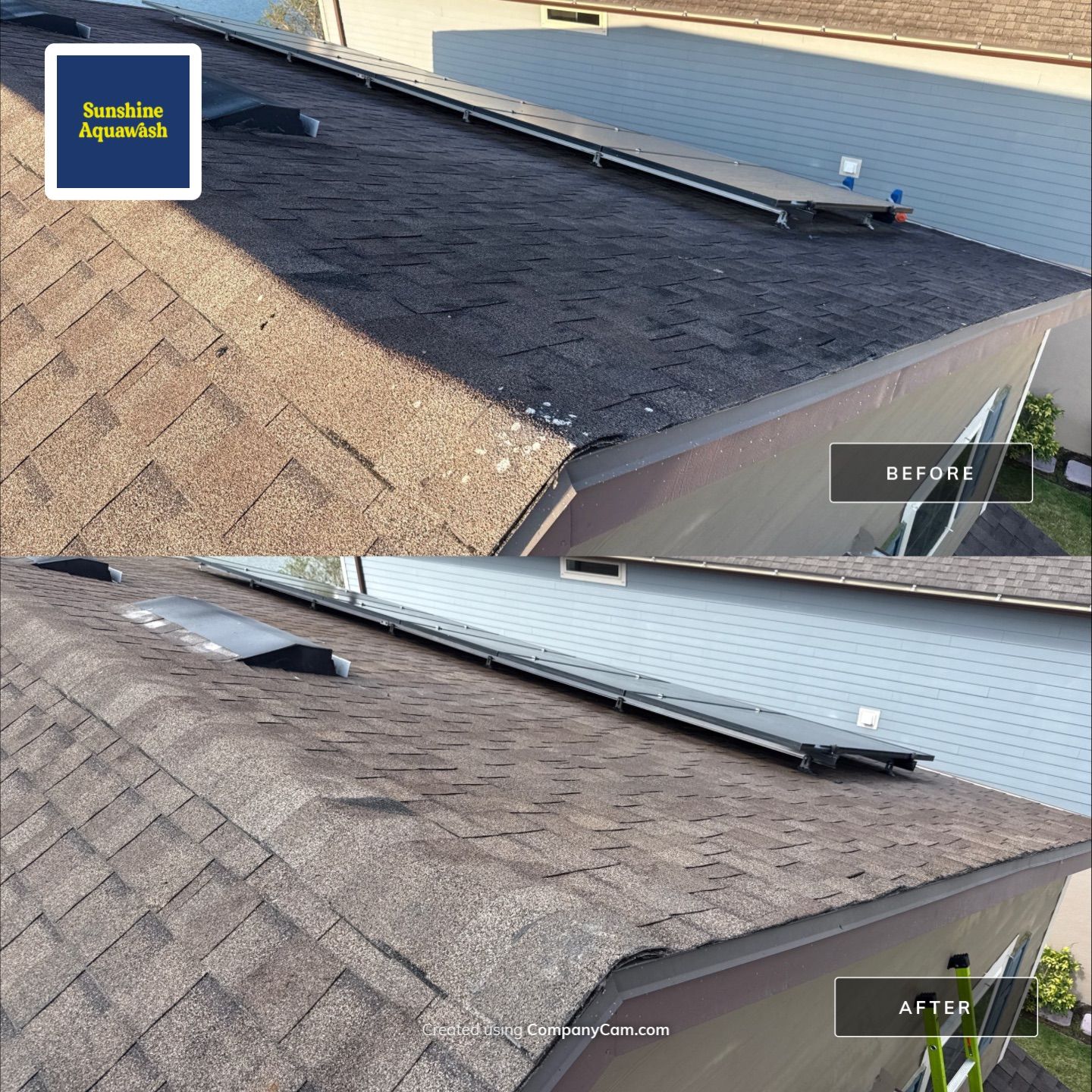 Roof Soft Wash, Pool Deck & Screen Enclosure Cleaning – Trevesta Community, Palmetto, FL by Sunshine AquaWash