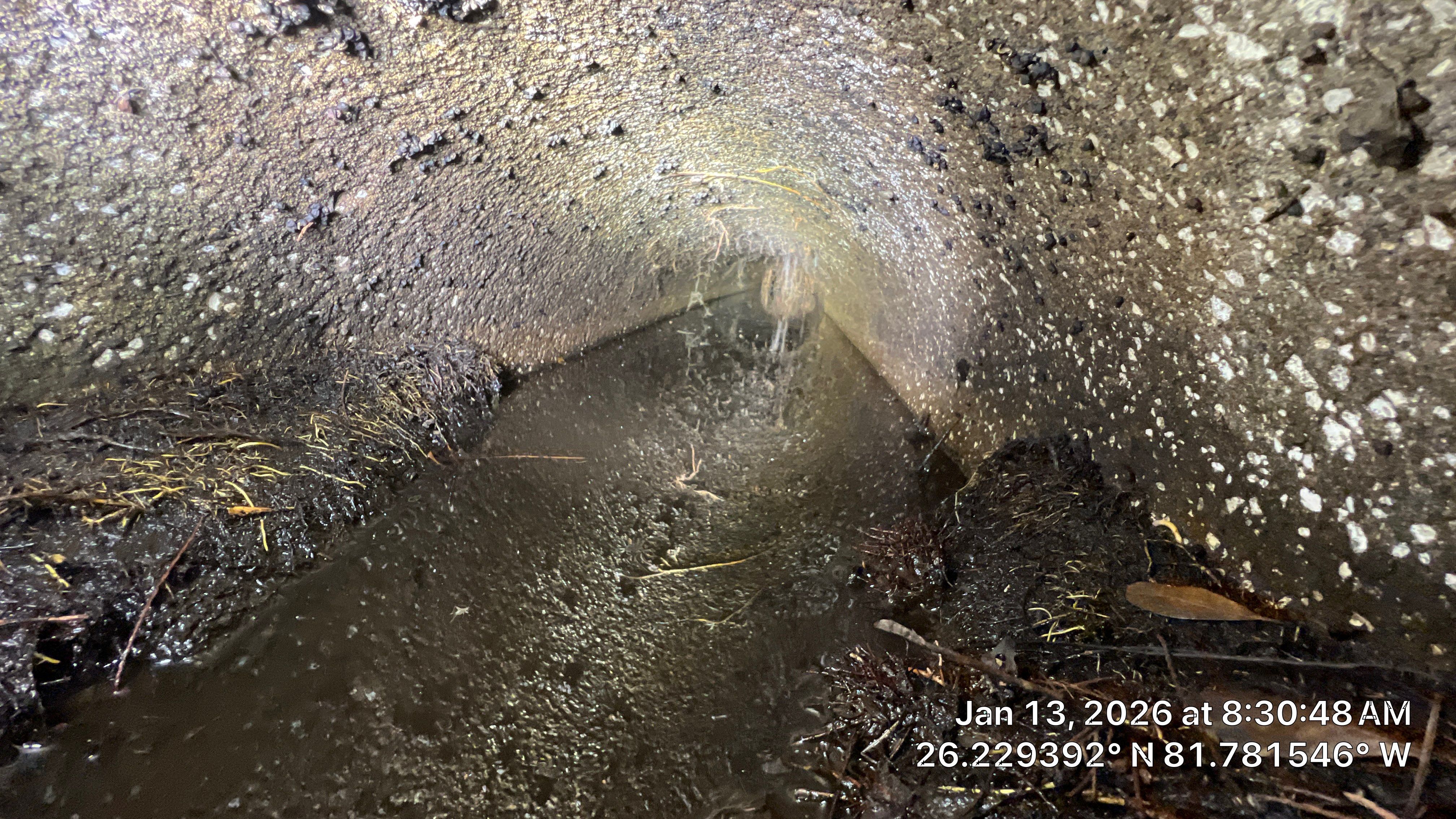 Naples Community Root Intrusion Investigation with P.R.S. by Don Mar, Inc. Storm Water Solutions