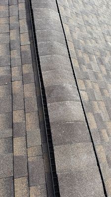 8301 Flintrock Court • Tampa, FL 33615