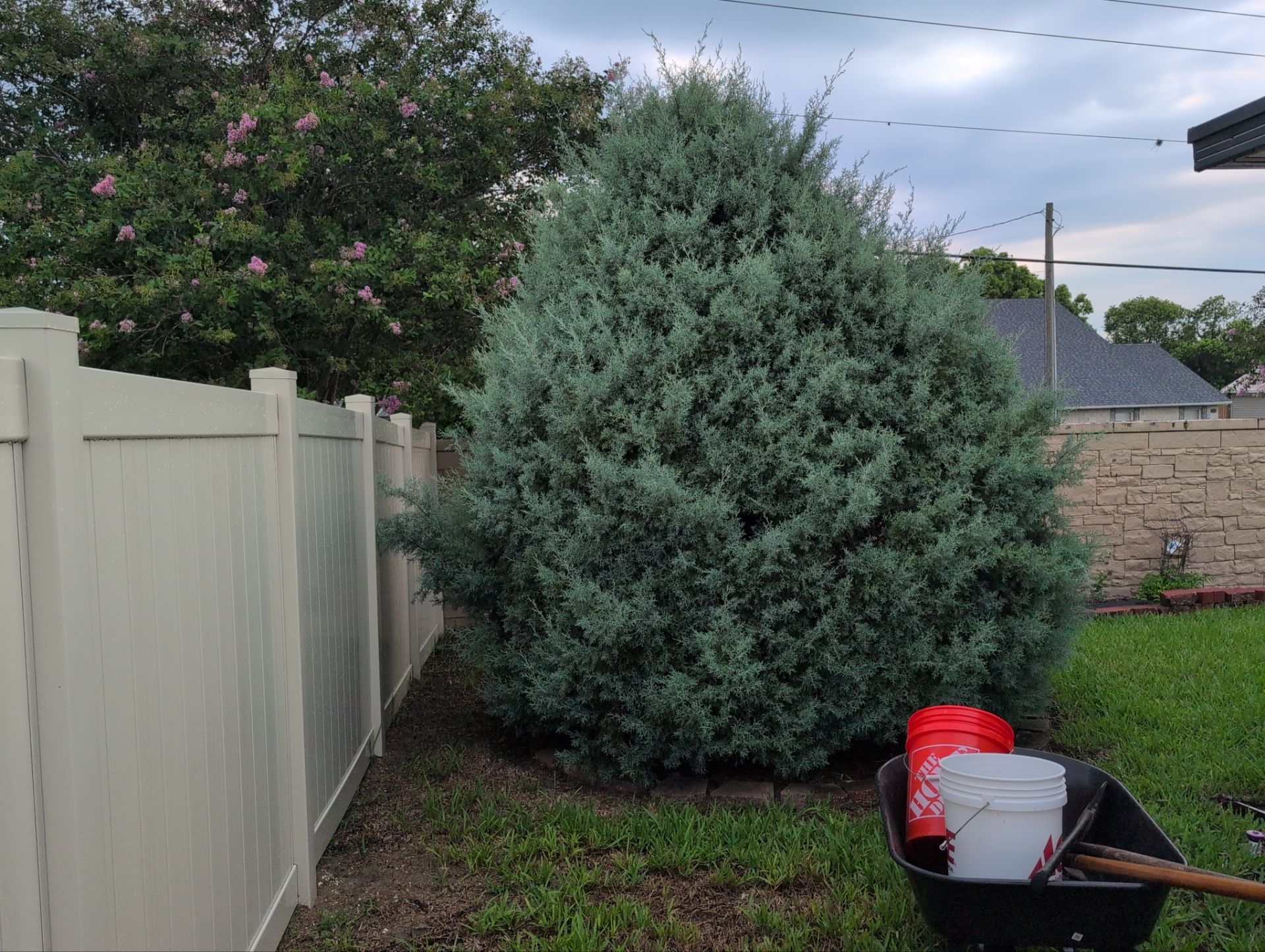 Tree Removal by 
M.A.B. Landscaping & Property Maintenance