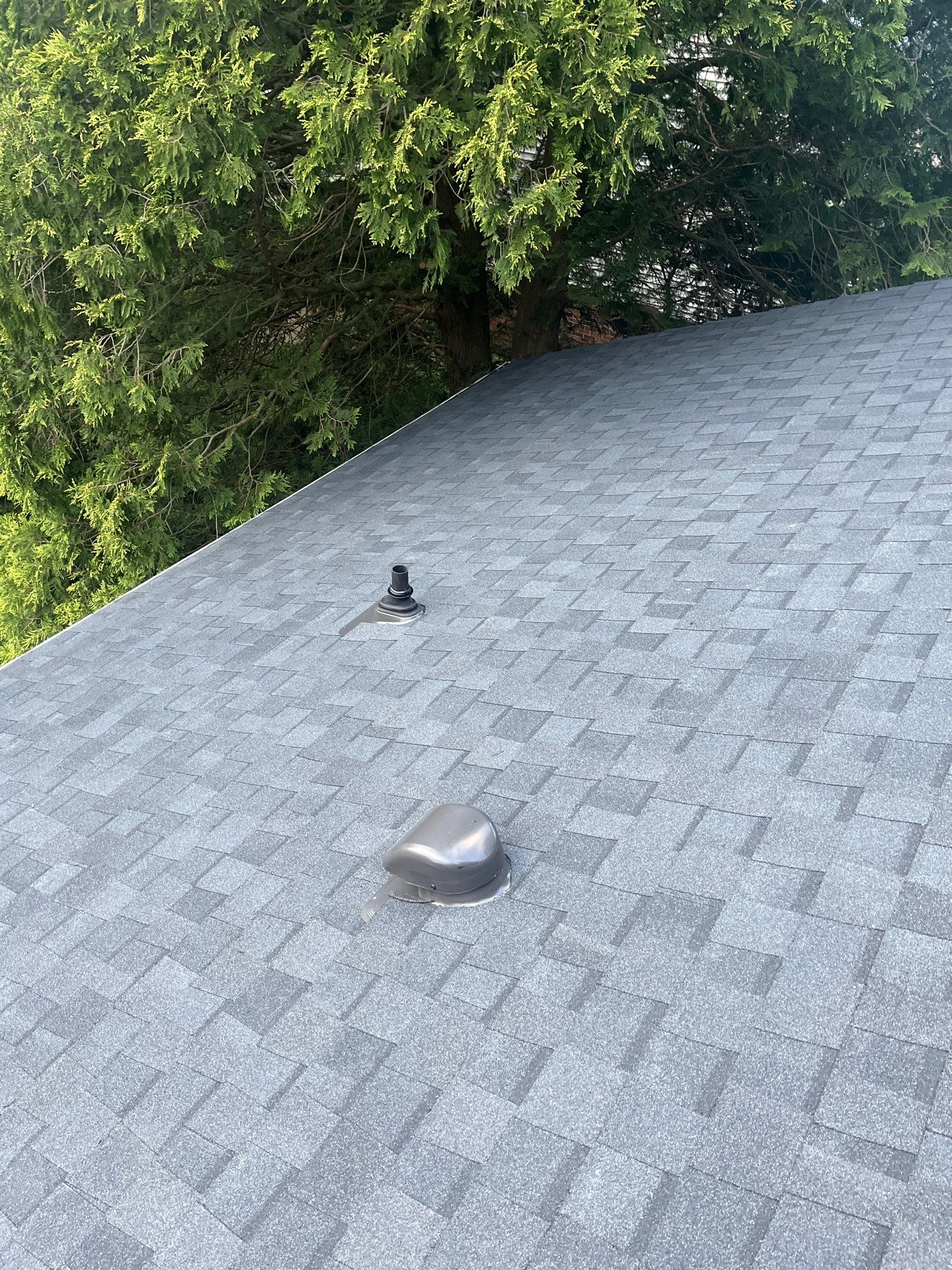 Burke: CertainTeed Landmark Designer Shingles in Moire Black by RM Banning, Inc.