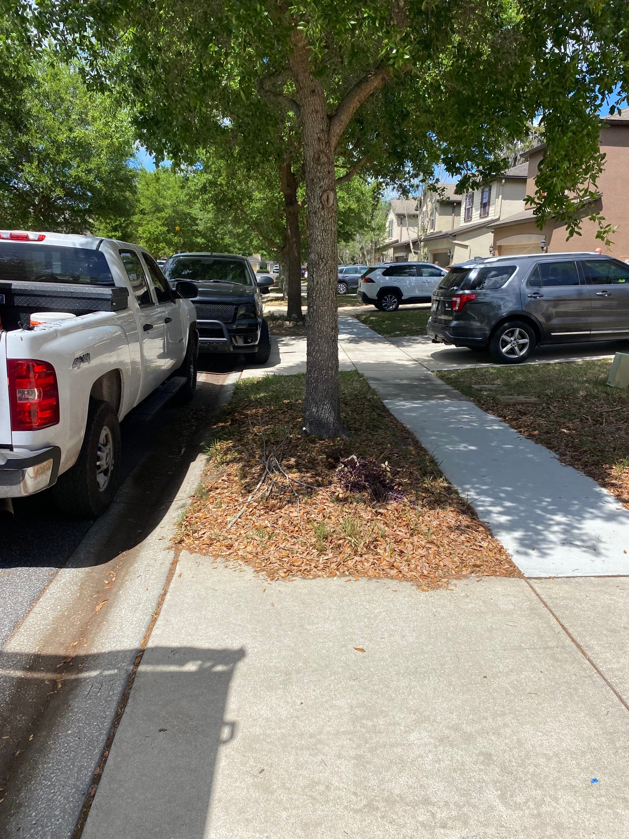 Residential | Mulch and Soil Installation by ProGreen Services