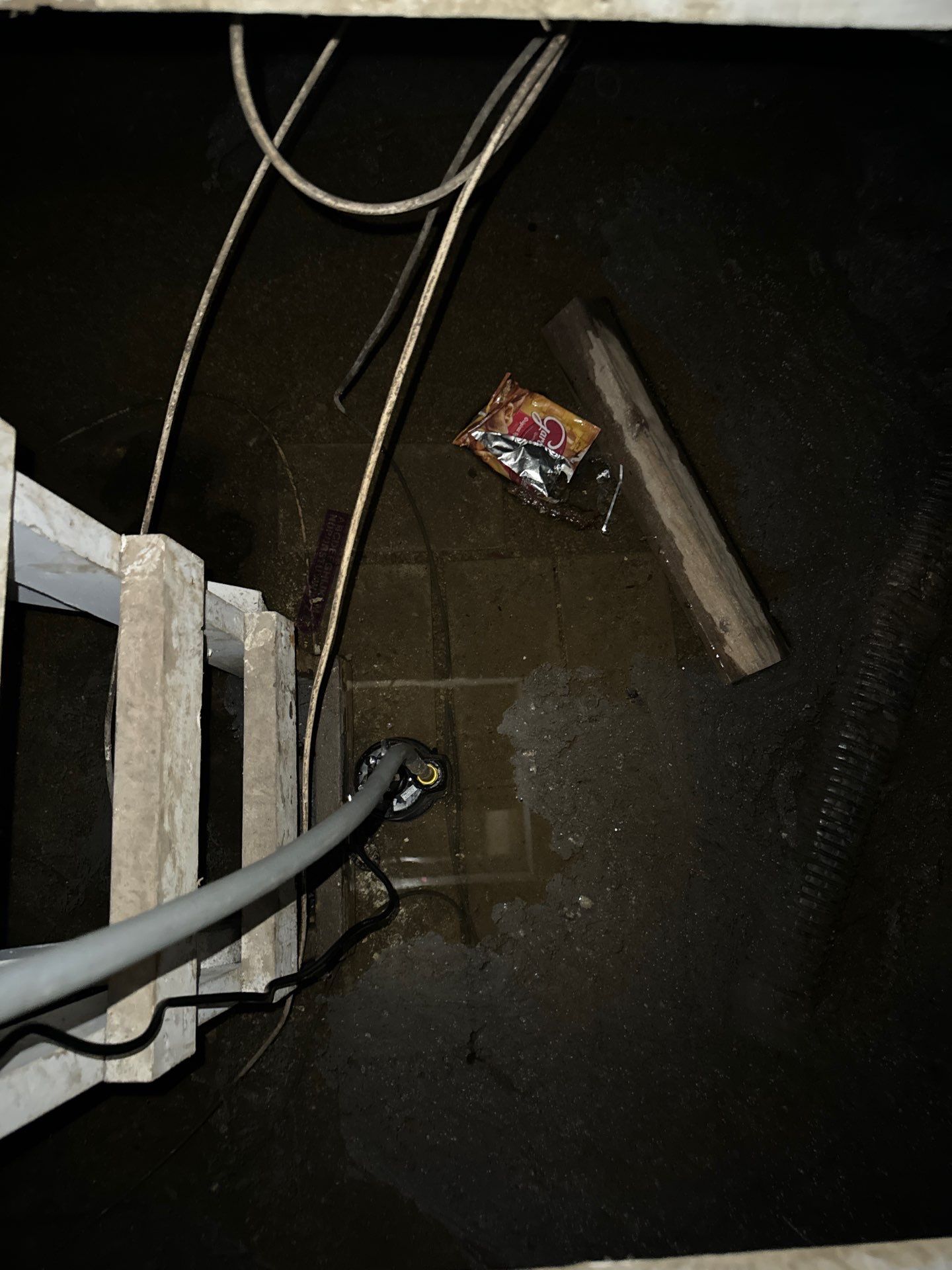 Crawl Space Water Extraction by Chicagoland Water Medics