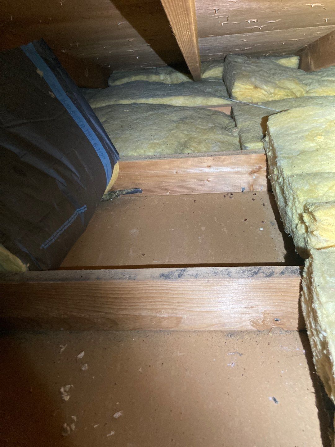 Large Ceiling Drywall Repair by Andre Handyman