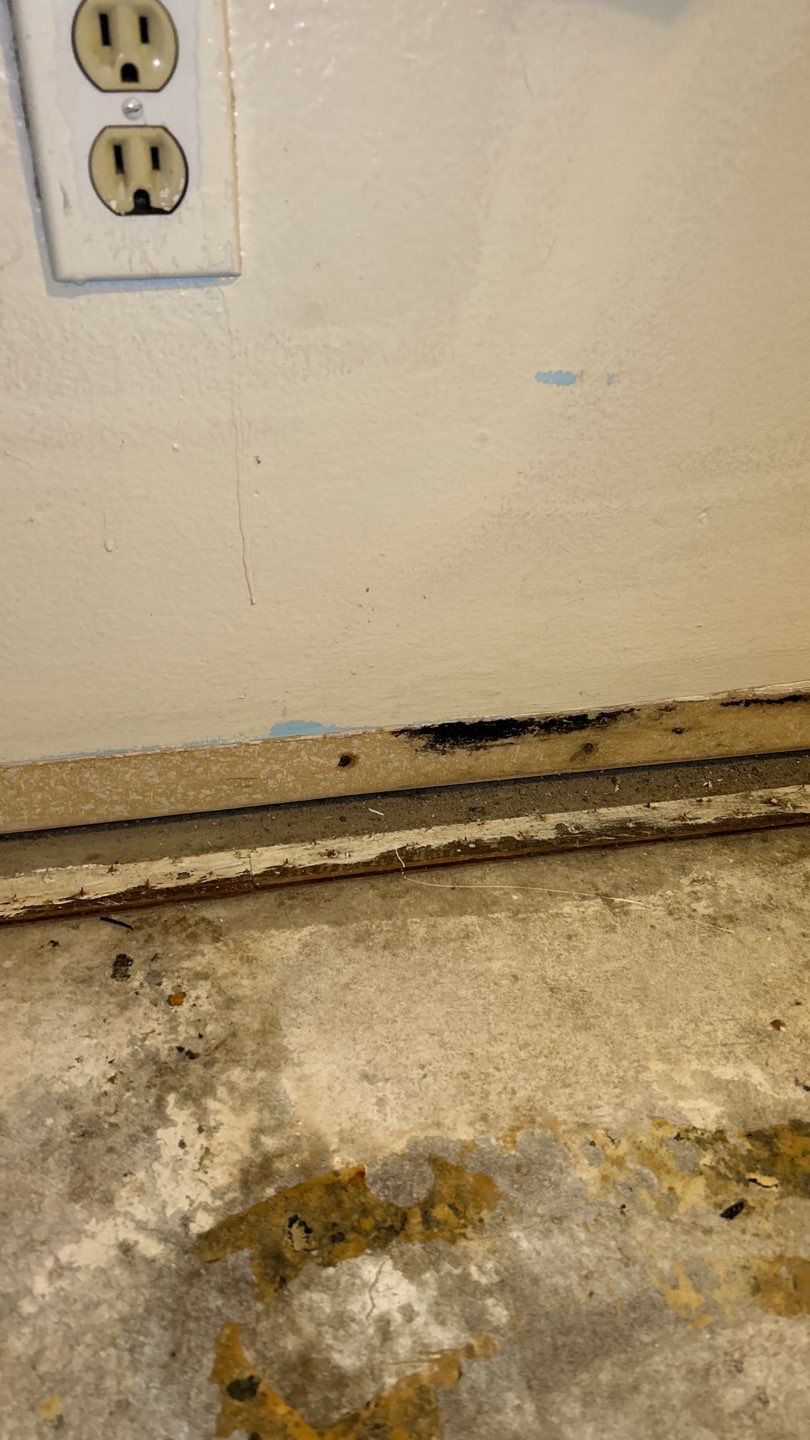 Mold Remediation by Accountable Home Services