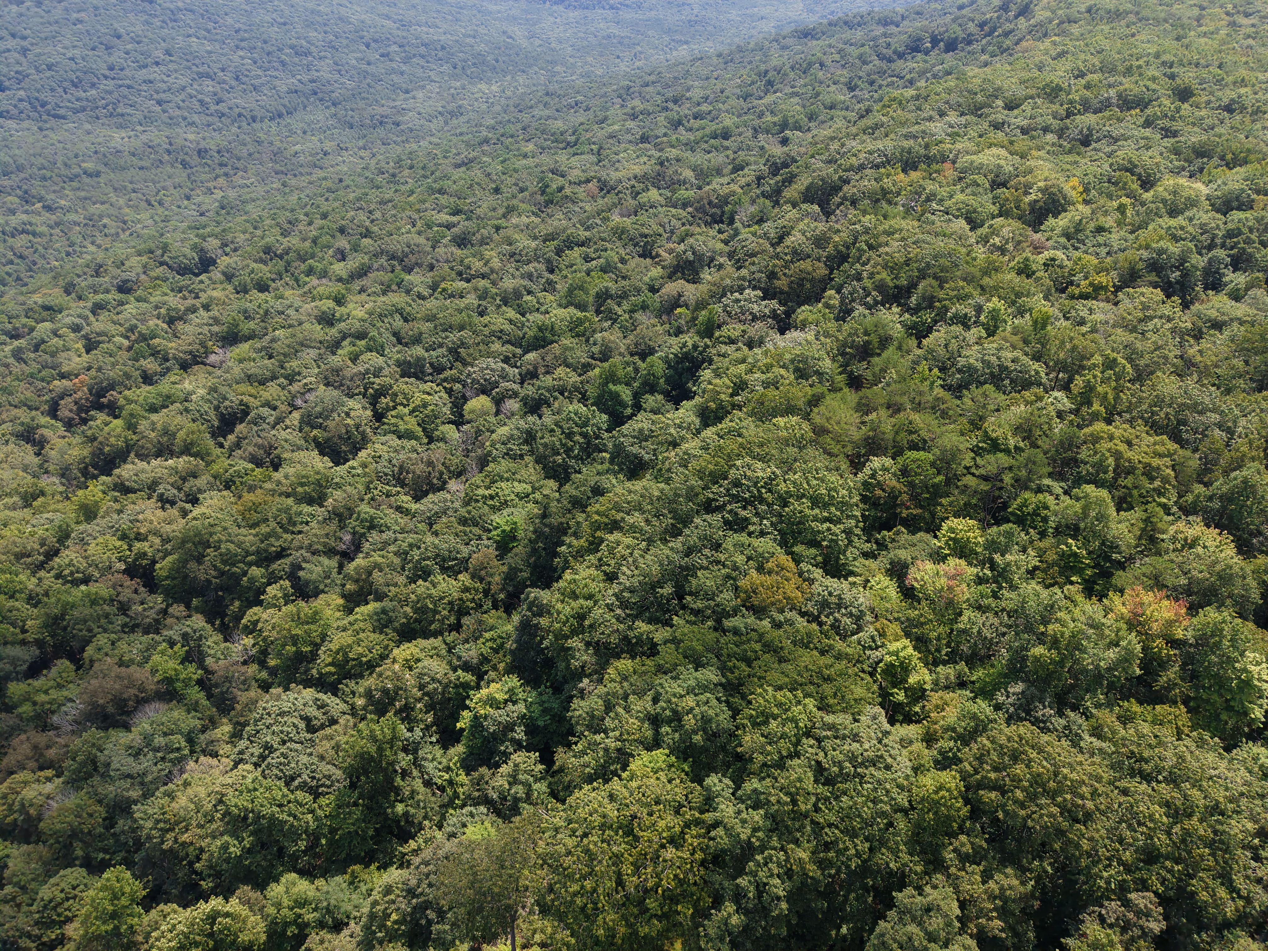 Aerial Photography in TN by The Roof Guy of Georgia, LLC
