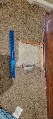 Repairing Carpet Chewed by a Dog