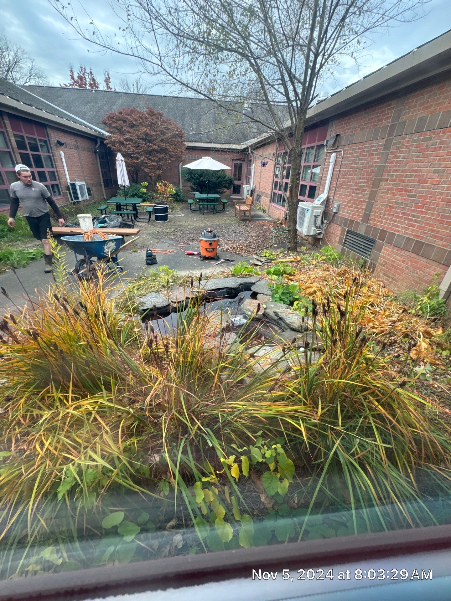 Deerfield Elementary School Koi Pond Build by Wicked Water Gardens