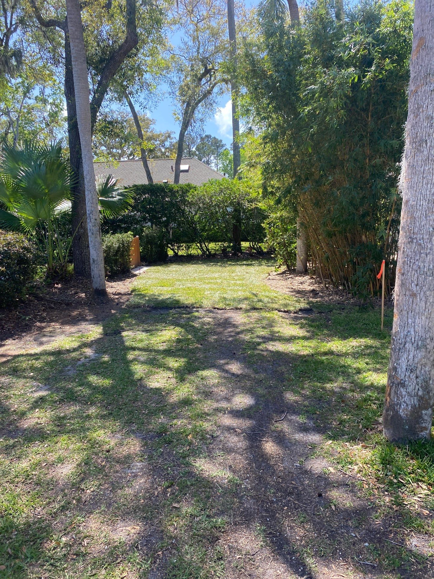 Residential | Sod Installation by ProGreen Services