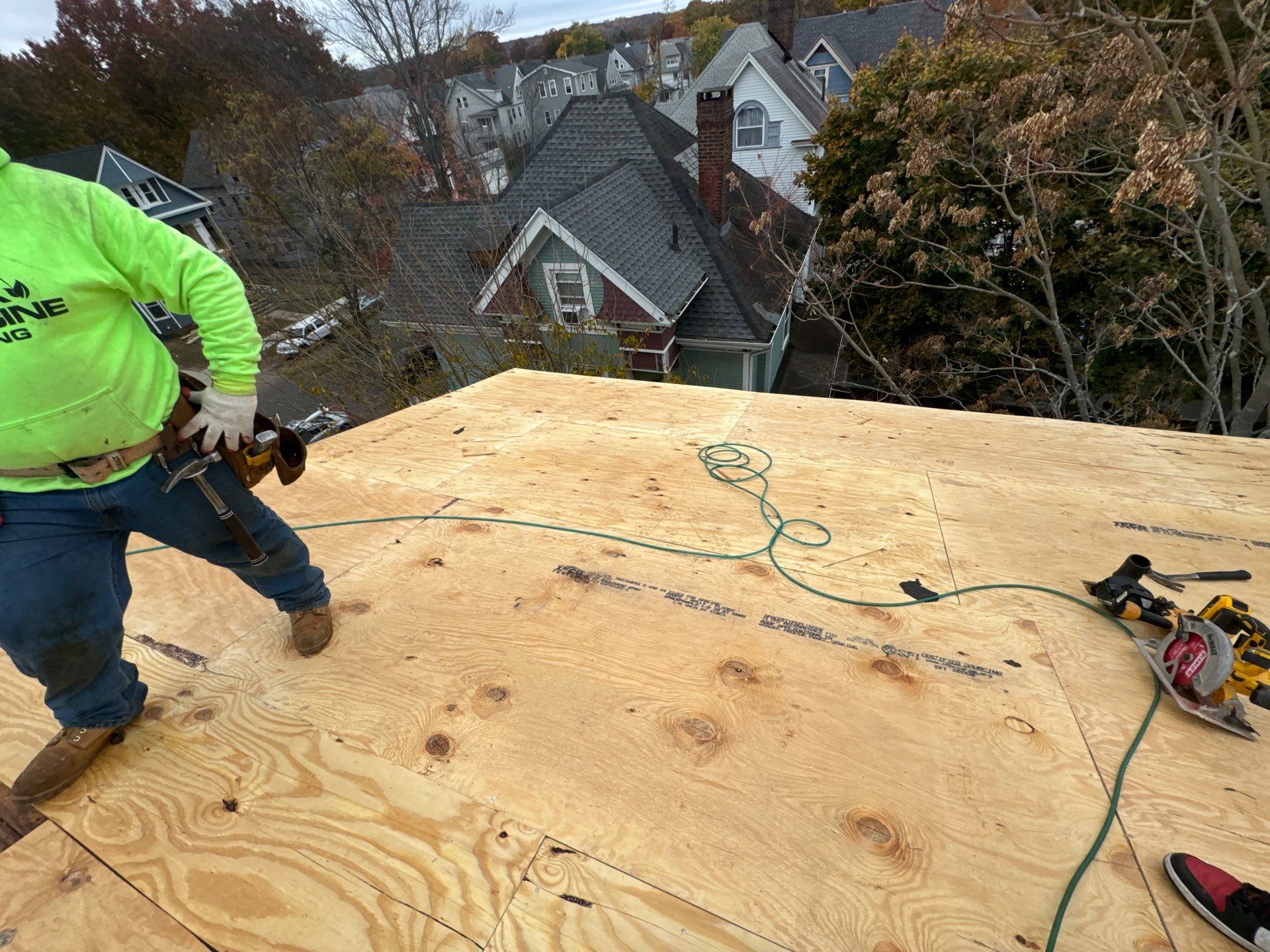 Silver Birch Shingles by Reimagine Roofing