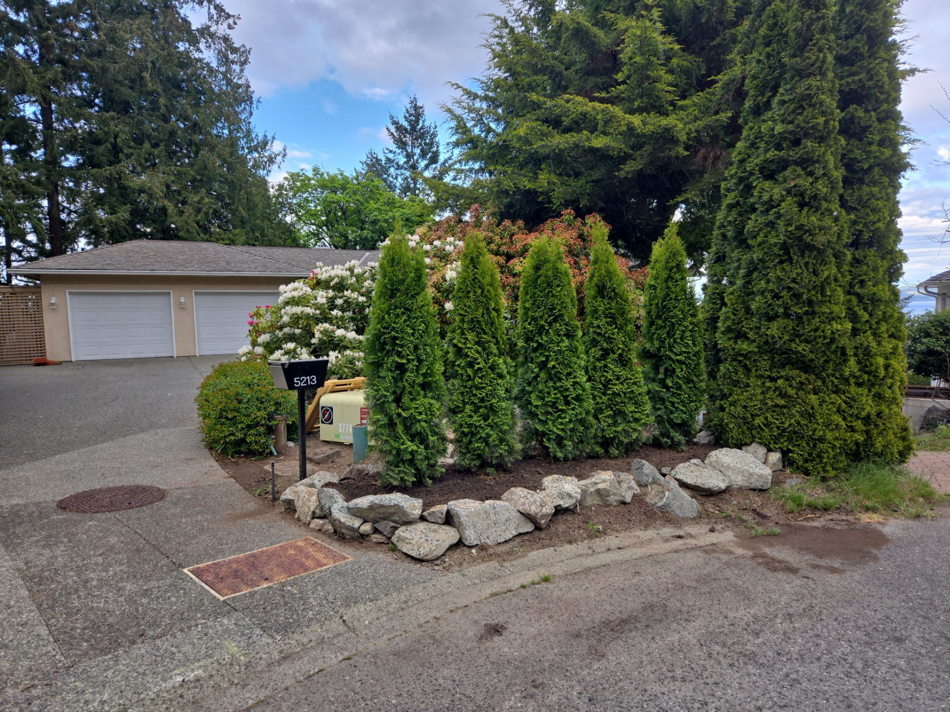 Hedge Installation – Privacy Enhancement and Visual Framing by Habanero Garden and Exterior Care