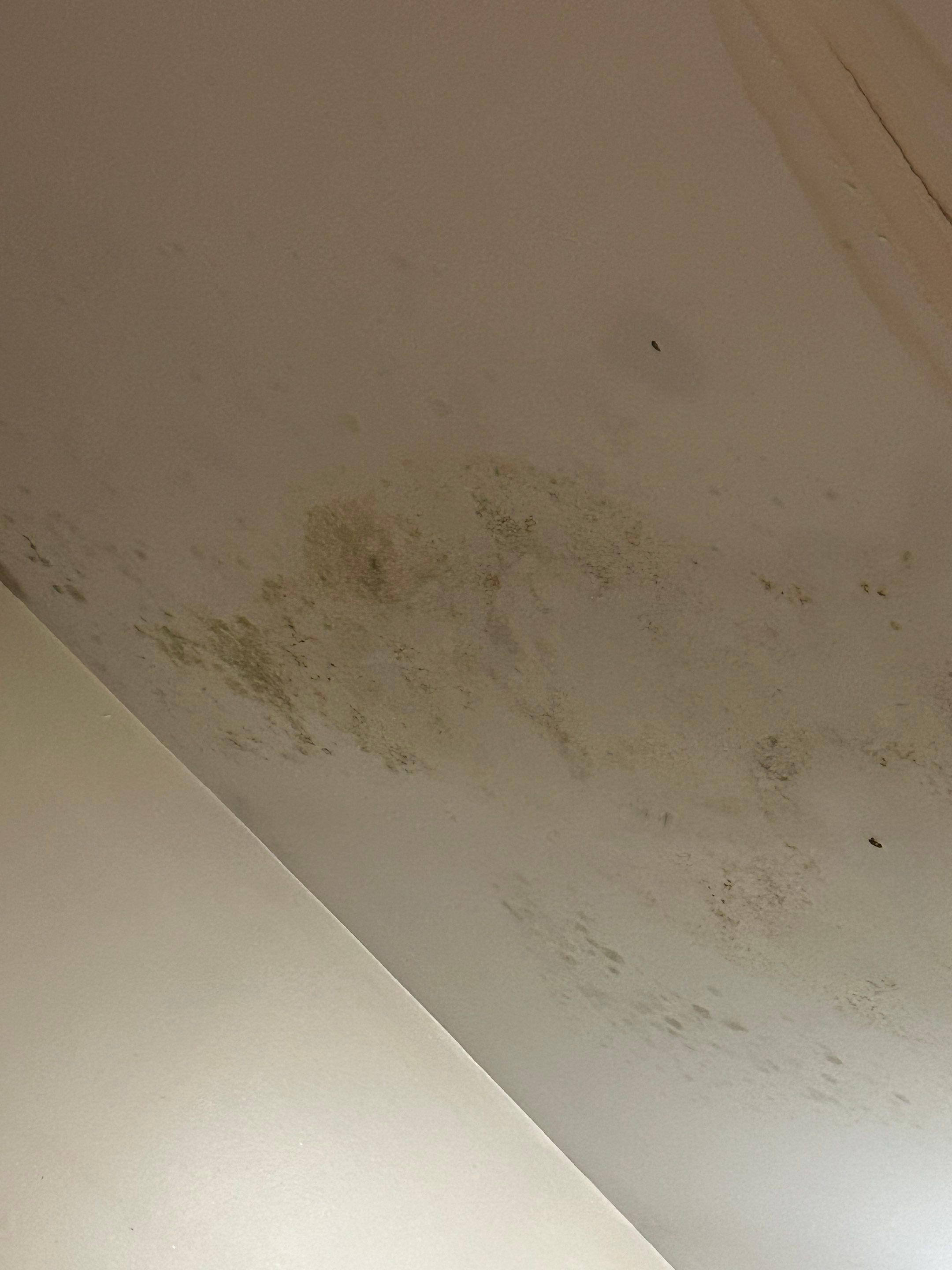 Project in St Leonard by ExteriorPros