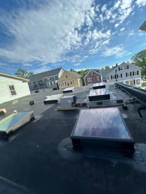 Skylights | Concord