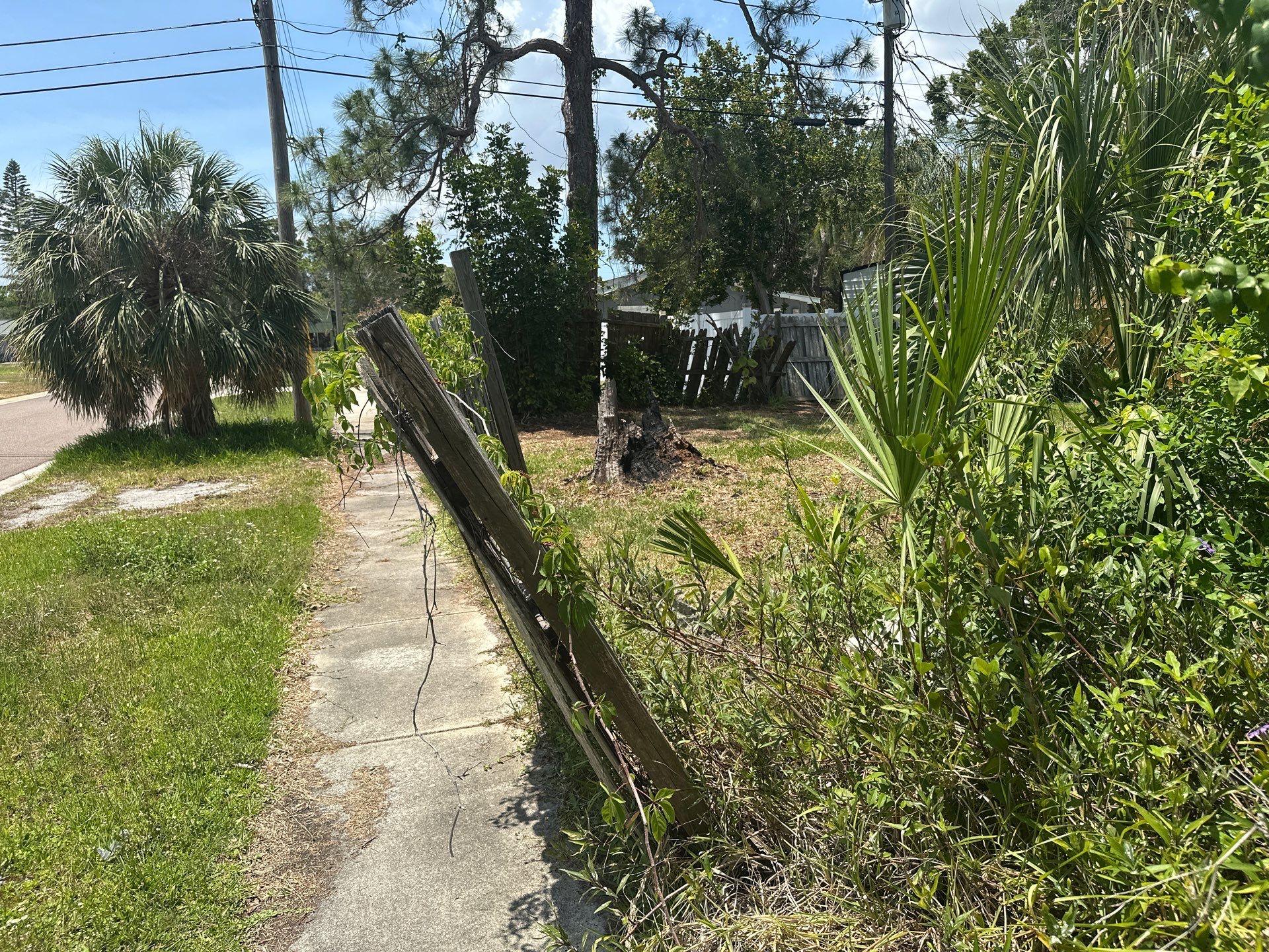 Water Damage Claim in St. Petersburg by FLAPA & KeyStone
