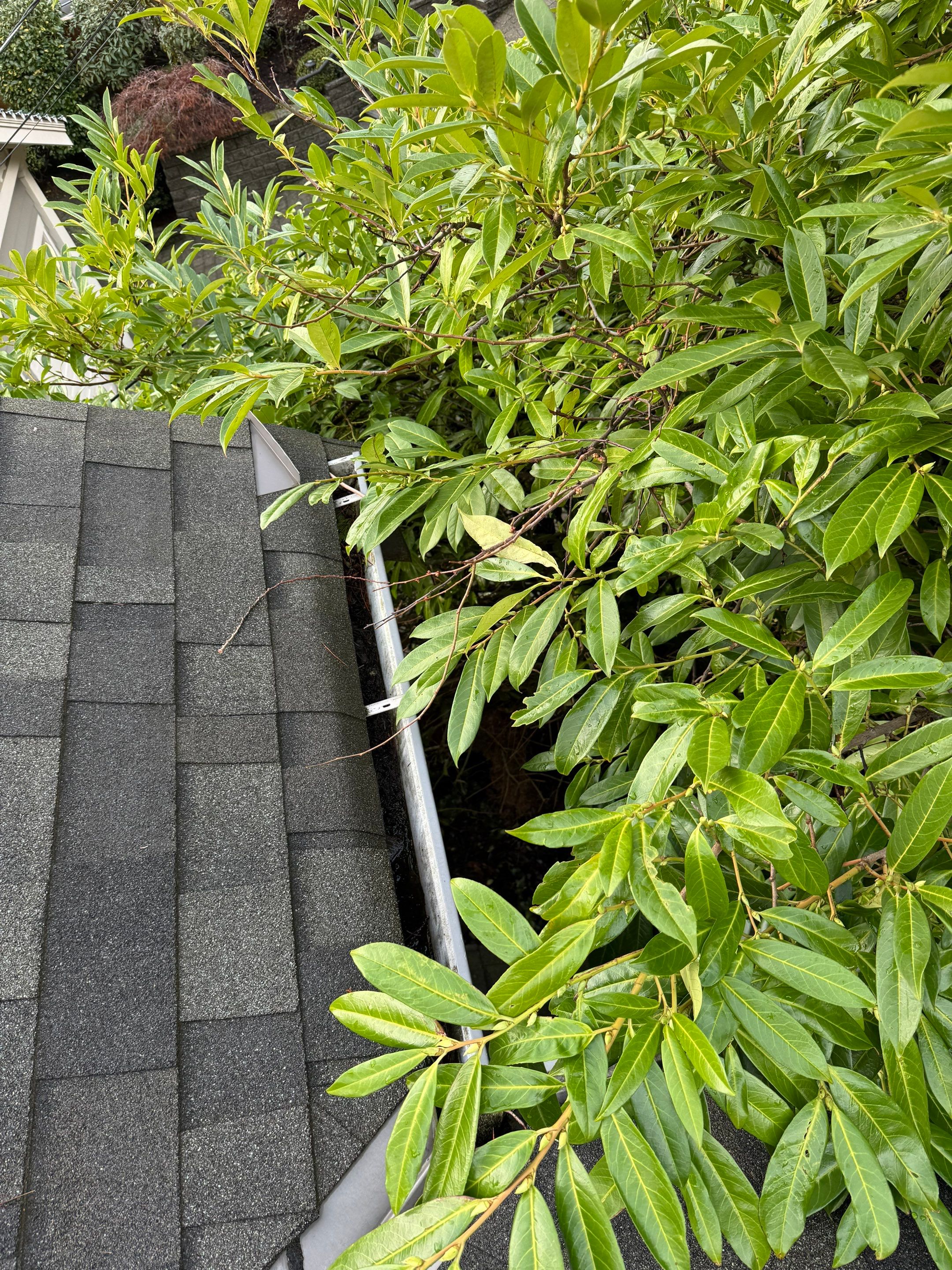 Gutter Cleaning by YVR Construction Group