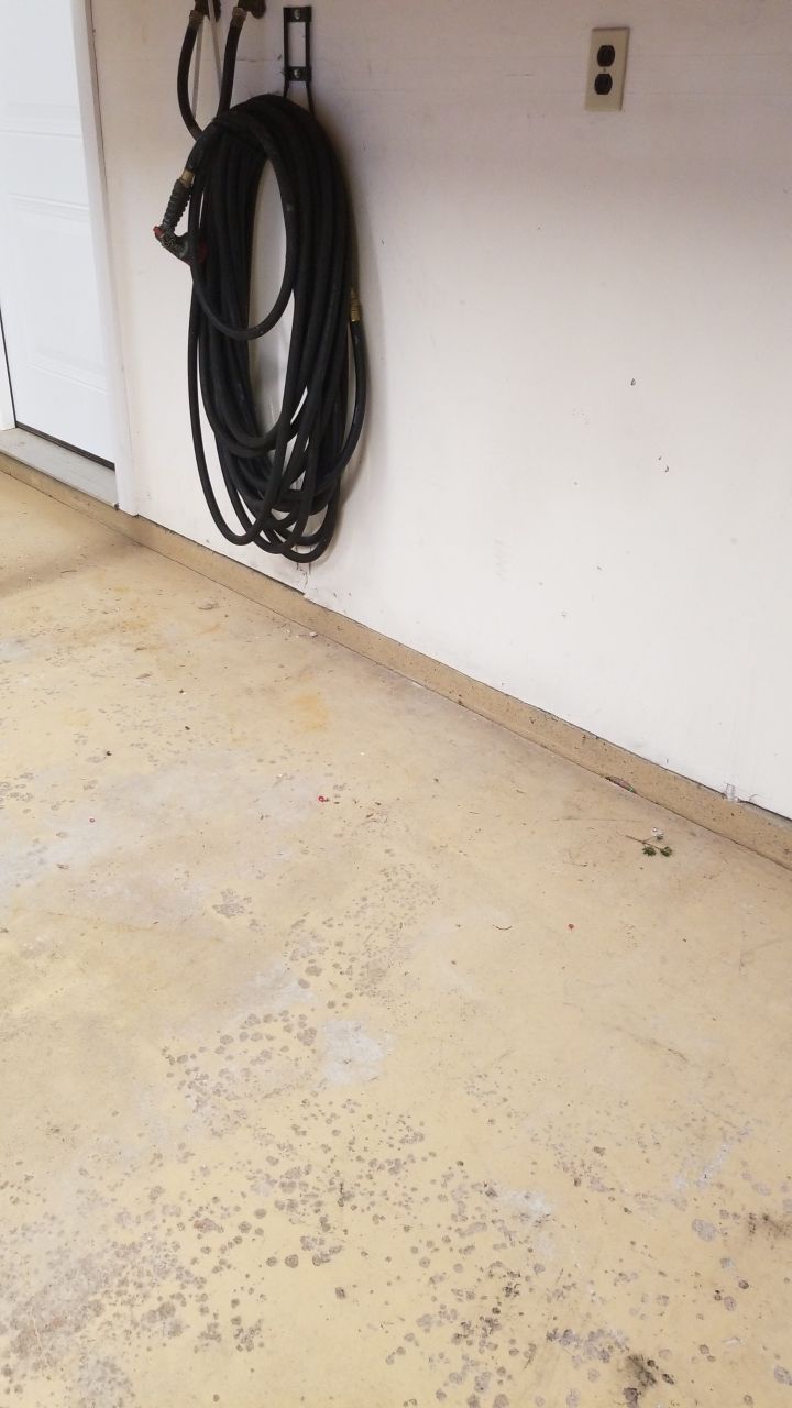 Garage Interior and Floor Upgraded! by Spectrum Painting, LLC