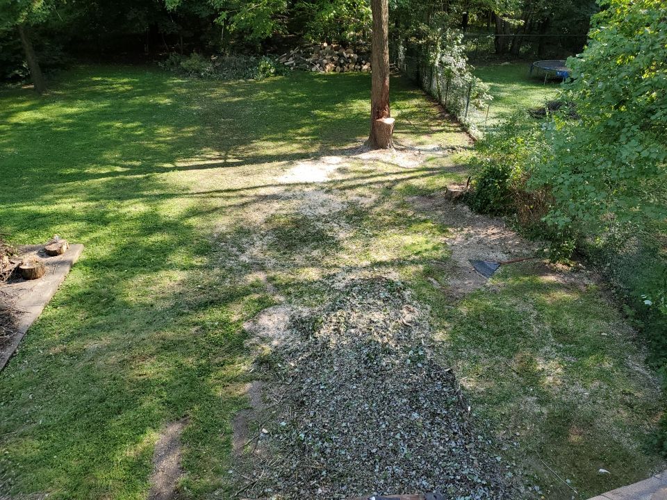 Storm Damaged Tree Removal  by Mike Jones & Sons Tree Service LLC 