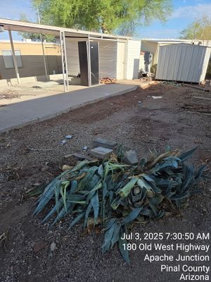Project in Apache Junction