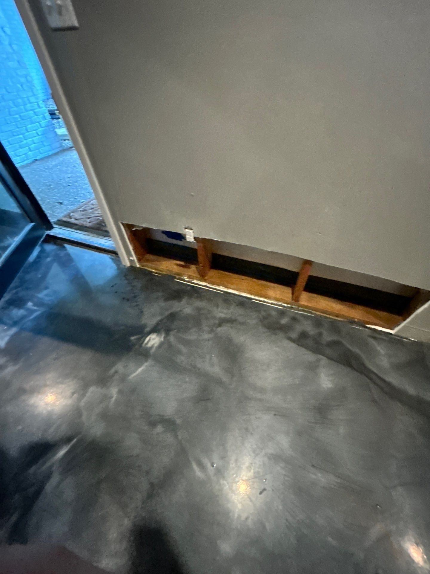 Investigative Demo by ANR Restoration