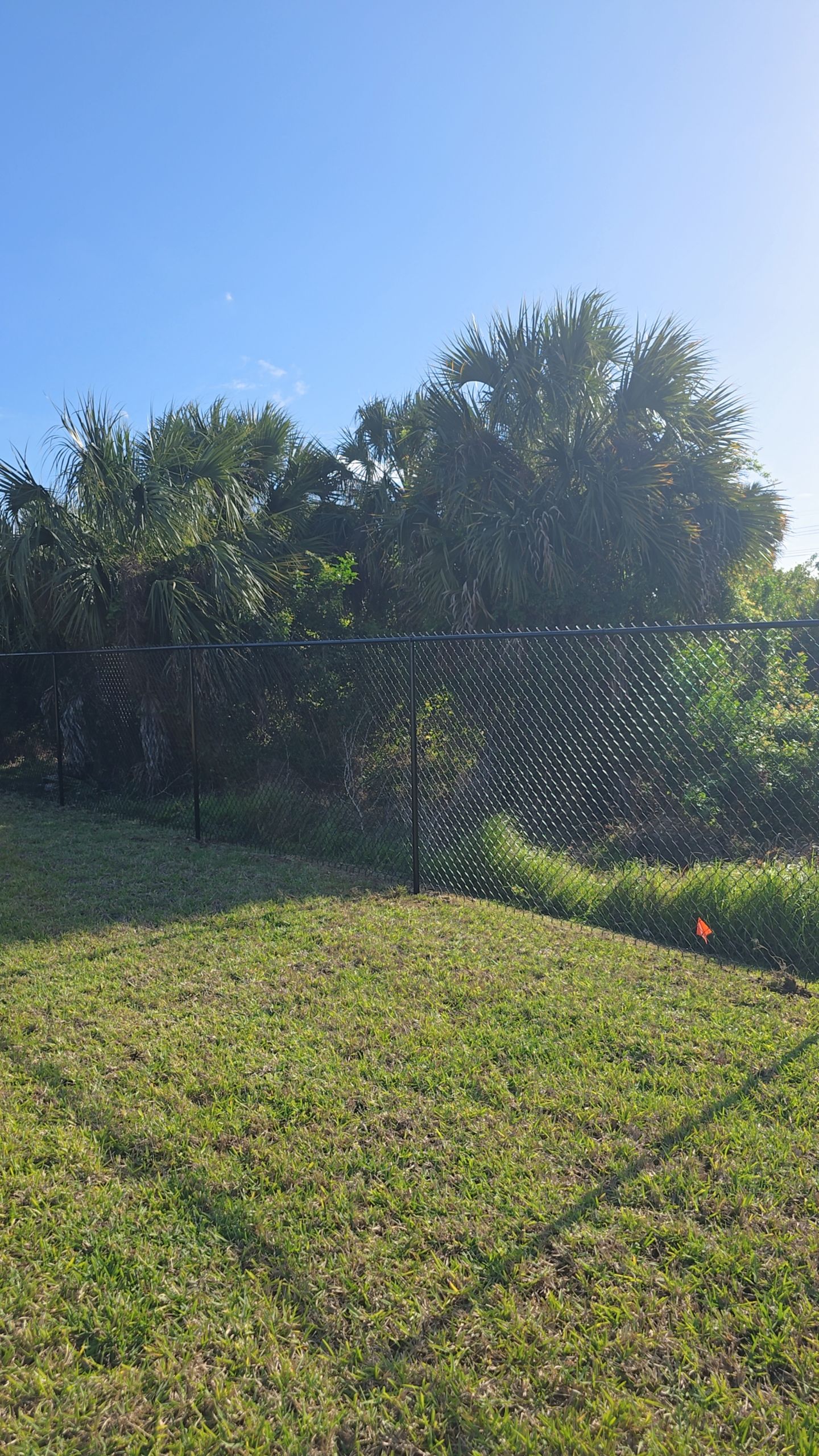 Chain Link Fence in Lehigh Acres by True Fence LLC