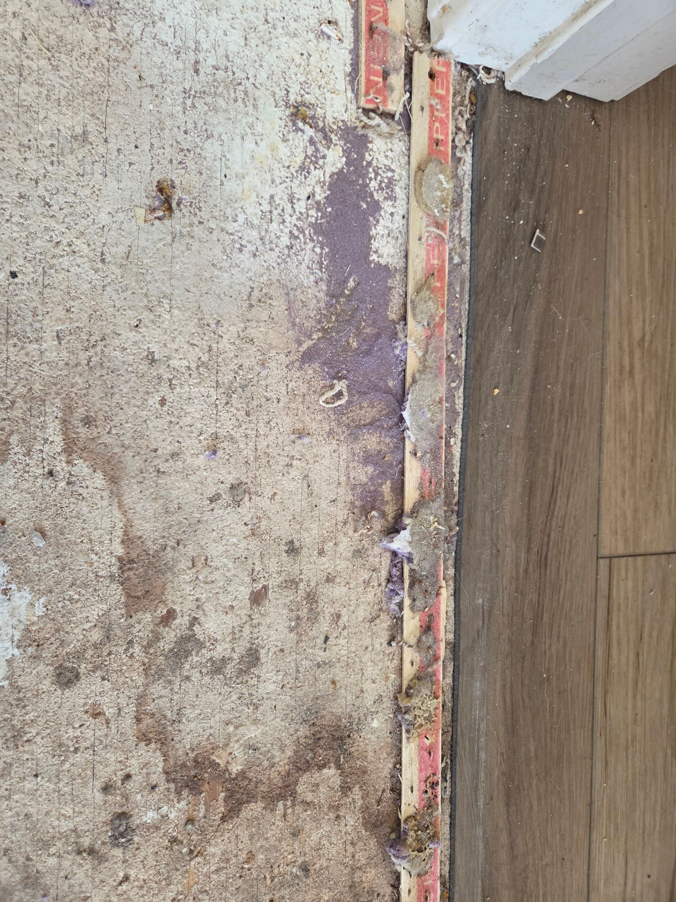 Carpet Repair in Shingle Springs by Ardent Carpet Restore LLC