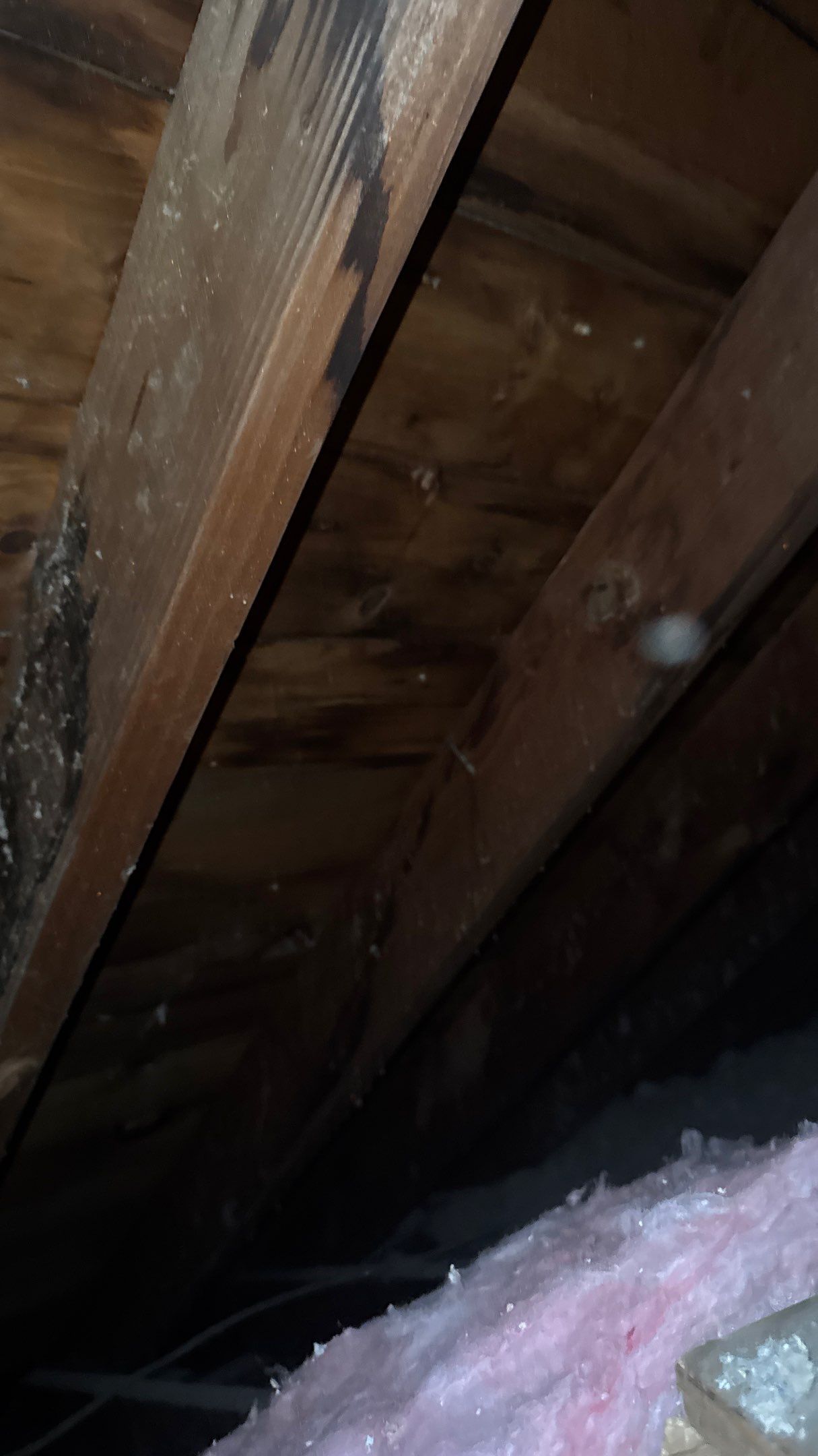 Roof Replacement using Owens Corning Williamsburg Gray by 180 Contractors