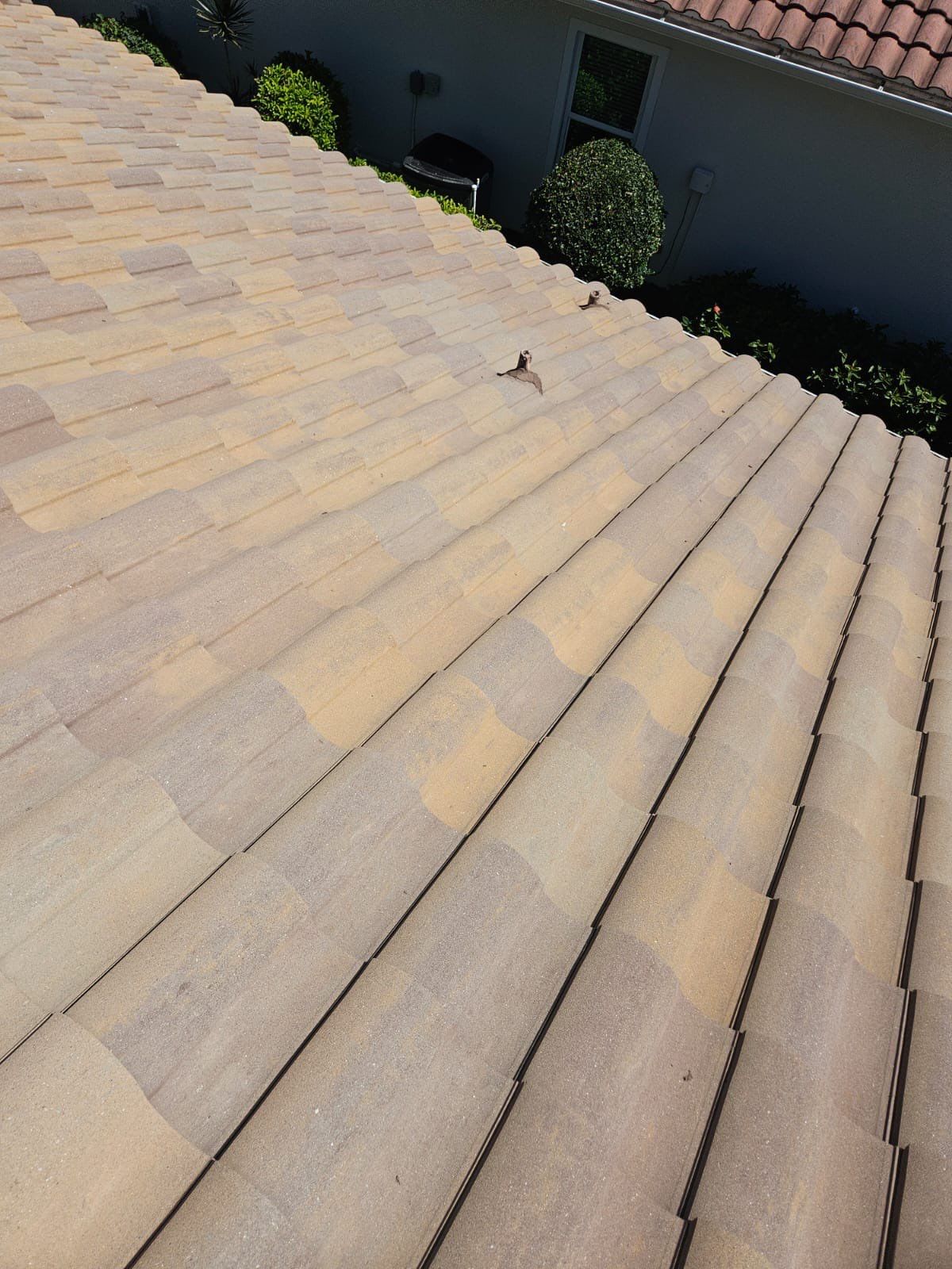 Roof Repair by Four Peaks Roofing