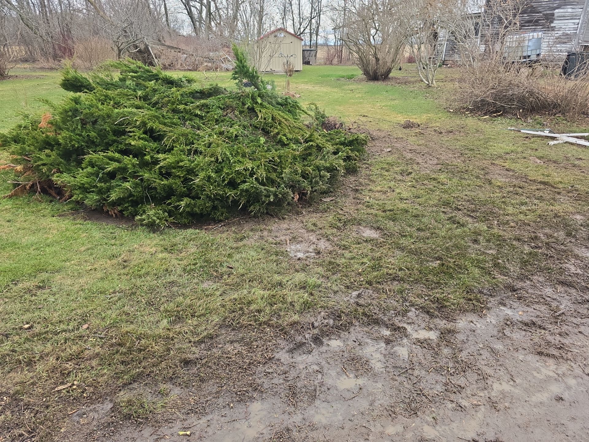 Emergency Job using Bobcat by Treeman Tom LLC