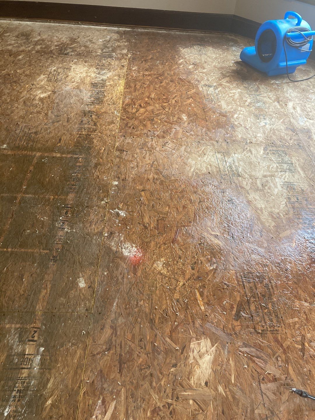 Water Damage Throughout Main Floor, Basement, and Crawl Space by Accountable Home Services