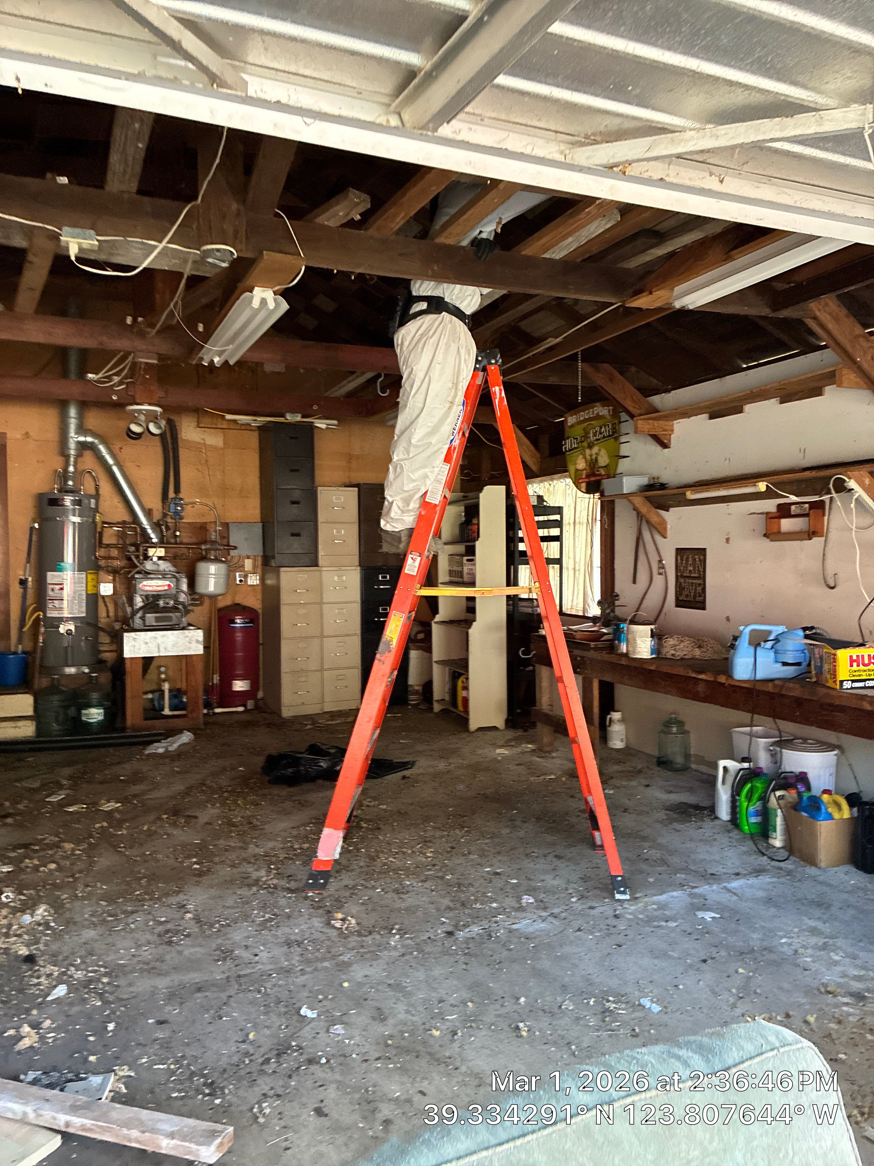 Project in Mendocino by 911 Hazmat Cleanup 